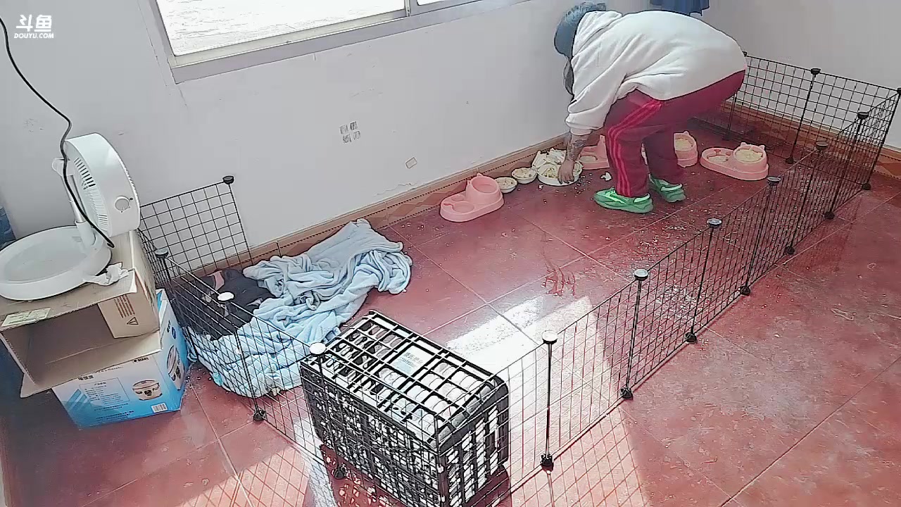 【2023-11-26 12点场】王大谋119：[小奶团] 今天下午抵达长沙，户外