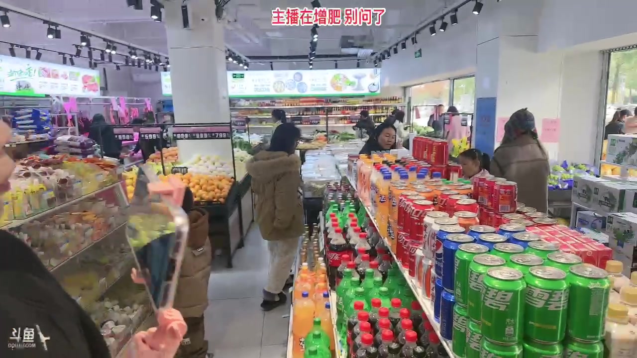 【2023-11-26 09点场】叁三QvQ：奶团再出发Day2回家去种田～