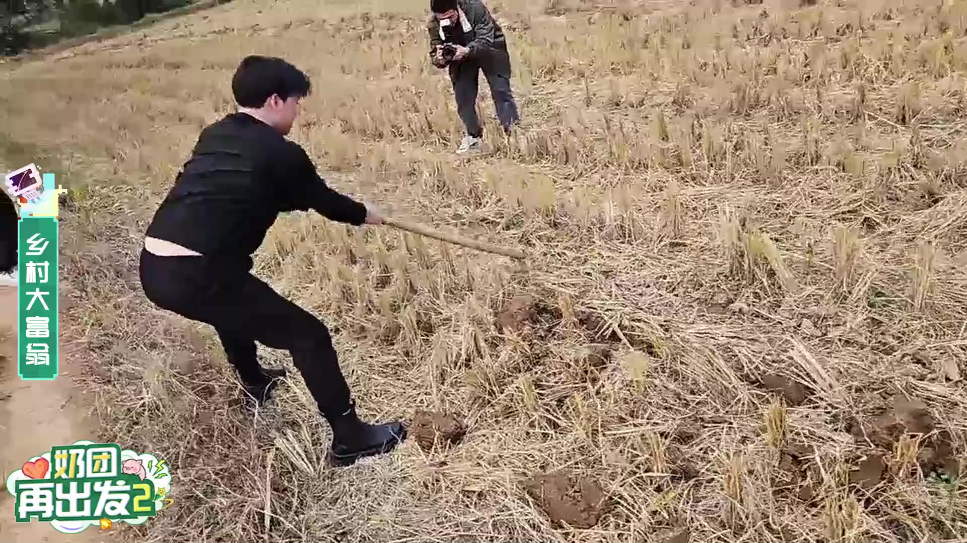 【2023-11-26 14点场】一条小团团OvO：奶团再出发Day2回家去种田-