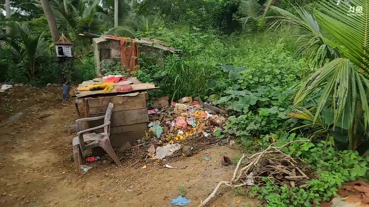 【2023-11-21 11点场】叶子户外：《纪实直播》斯里兰卡day13