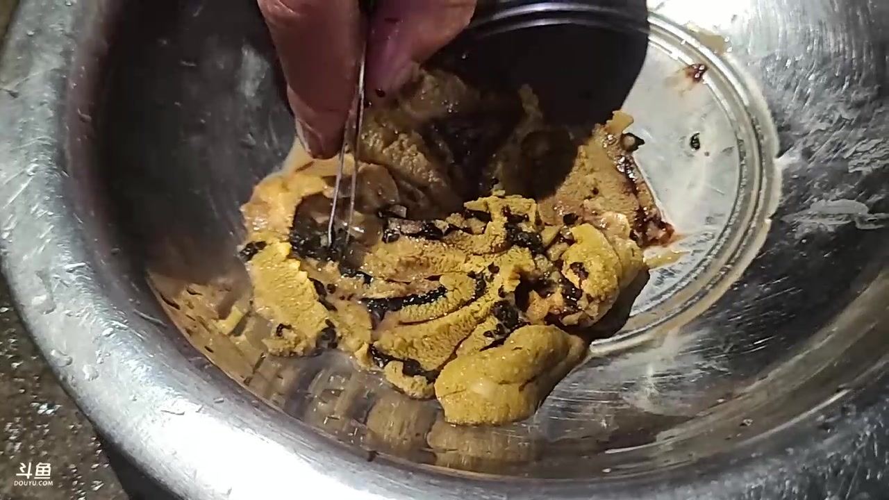 【2023-11-22 23点场】叶子户外：《纪实直播》斯里兰卡day14