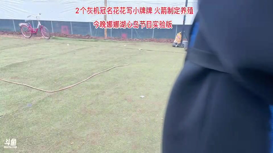 【2023-11-25 16点场】惠娜娜呀：【小奶团】娜娜湖心岛实验版