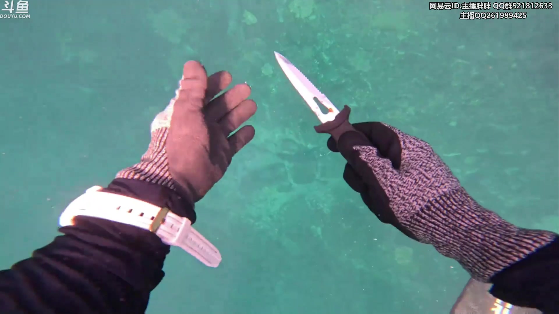 【2023-11-27 02点场】胖胖灬：胖胖OB：BLG.左手+JD.牙膏！