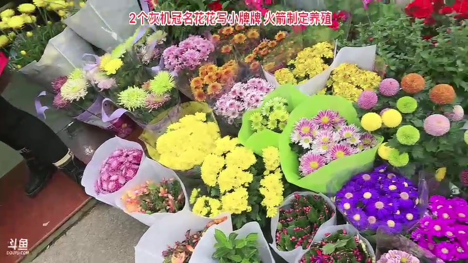 【2023-11-24 12点场】惠娜娜呀：【小奶团】985团播