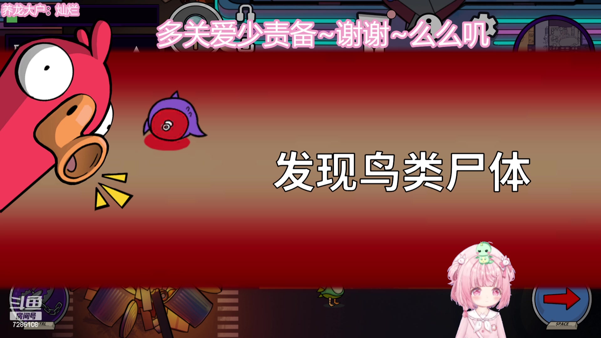 【2023-11-26 22点场】一只猛龙丶：【铁皮双倍】努力做好就好~