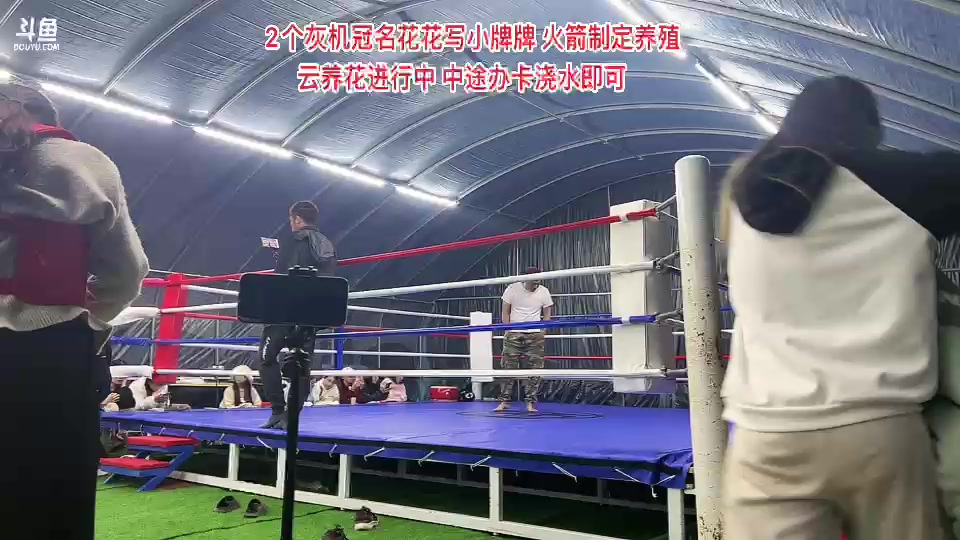 【2023-11-22 19点场】惠娜娜呀：【小奶团】985房车仙女山节目