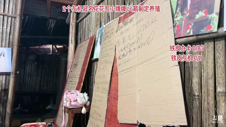 【2023-11-24 18点场】惠娜娜呀：【小奶团】985团播