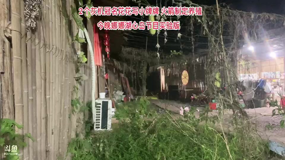 【2023-11-25 00点场】惠娜娜呀：【小奶团】娜娜湖心岛实验版