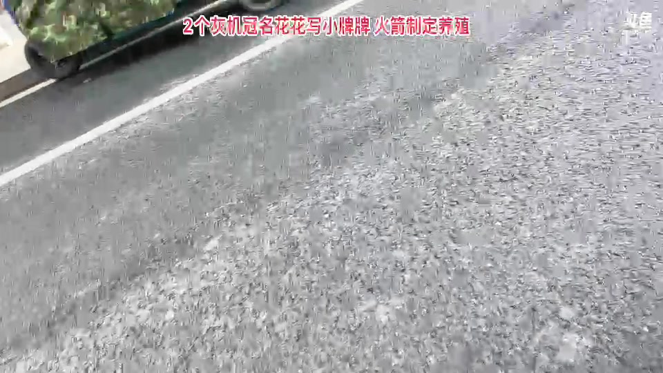 【2023-11-26 10点场】惠娜娜呀：【小奶团】985团播