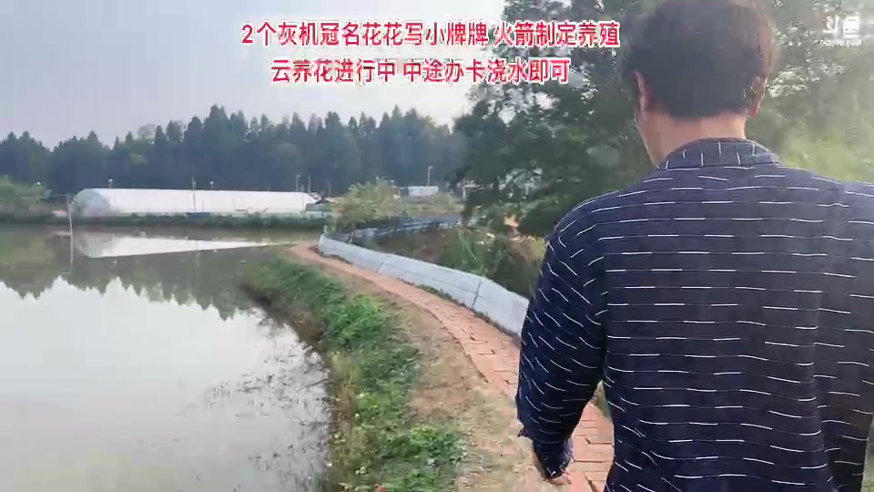 【2023-11-22 15点场】惠娜娜呀：【小奶团】985房车仙女山节目