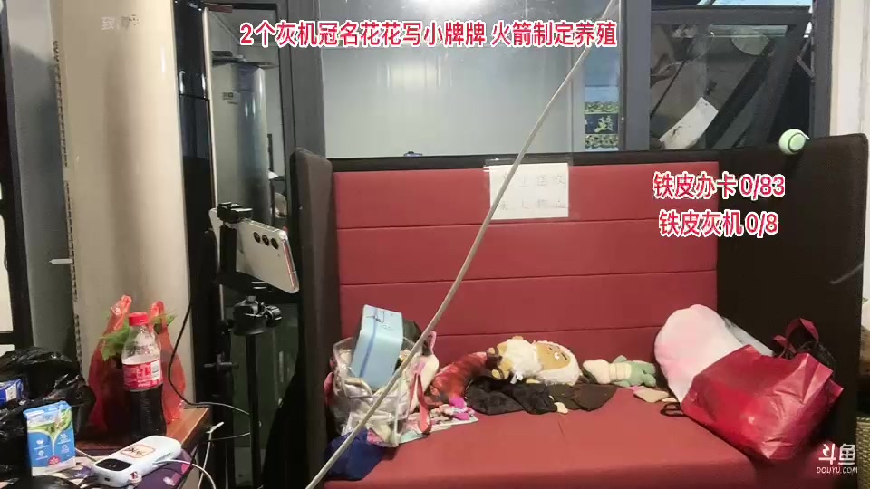 【2023-11-24 22点场】惠娜娜呀：【小奶团】985团播