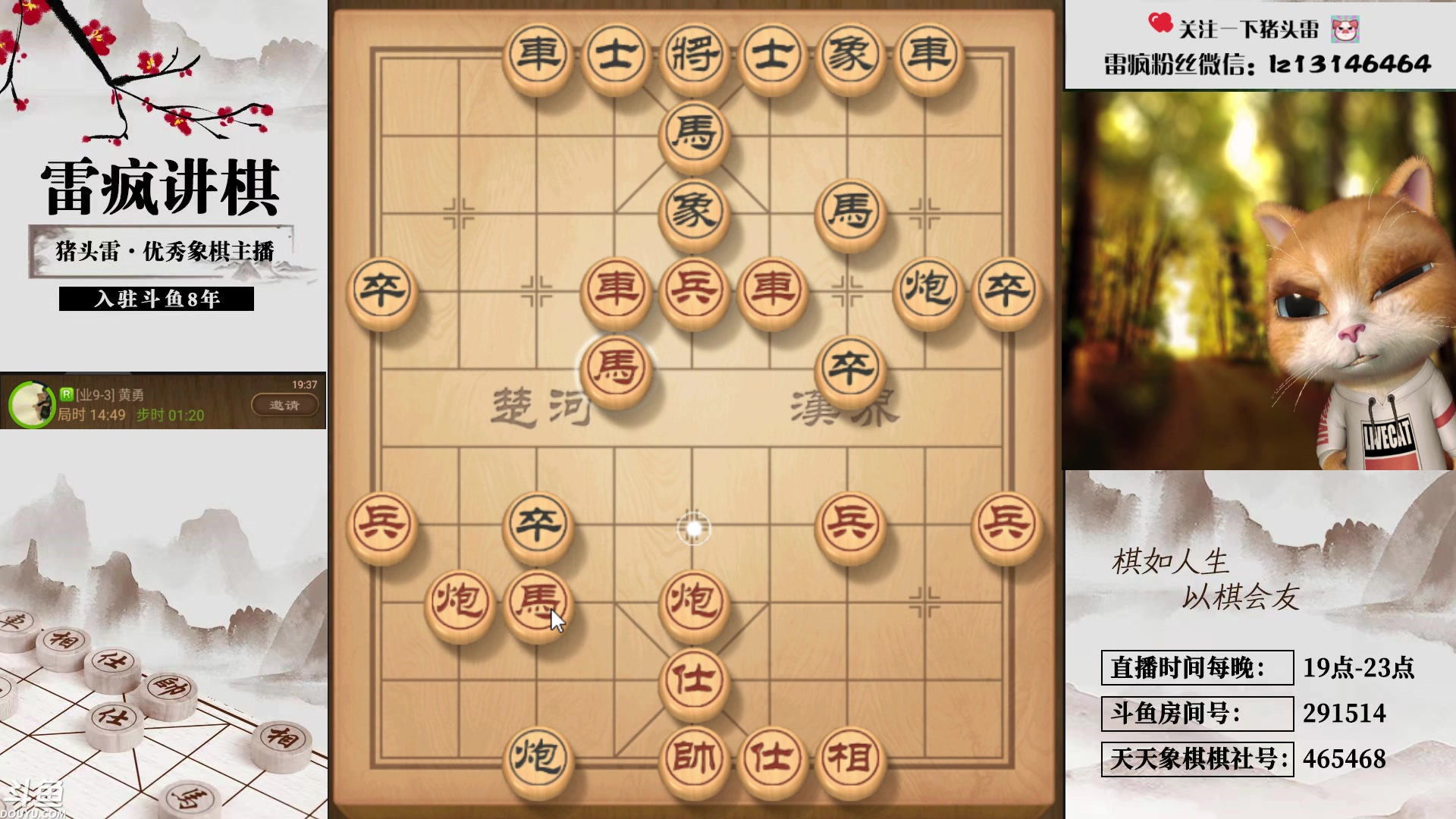 【2023-11-28 19点场】雷疯小叔：再苦再难再累 常回来看看 雷疯一直都在！