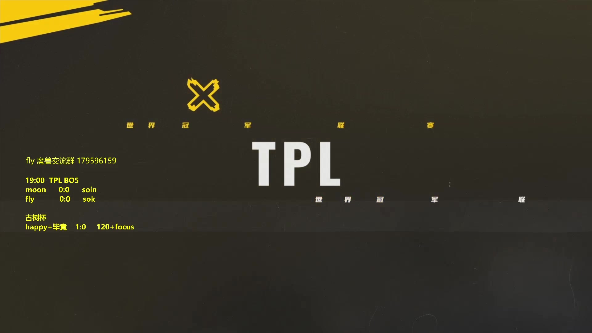 【2023-11-28 18点场】Flygogogogo：（直播）TPL8败者组飞  vs sok