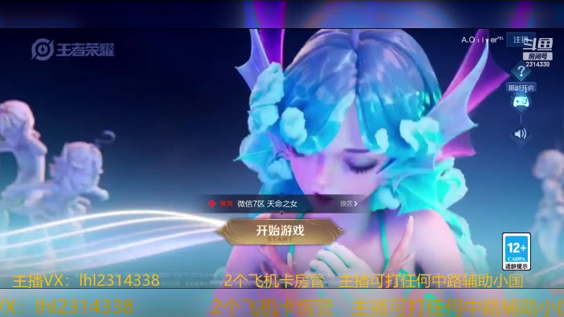 【2023-11-28 18点场】国服老狐狸：国服妲己：每天12点到8点教学