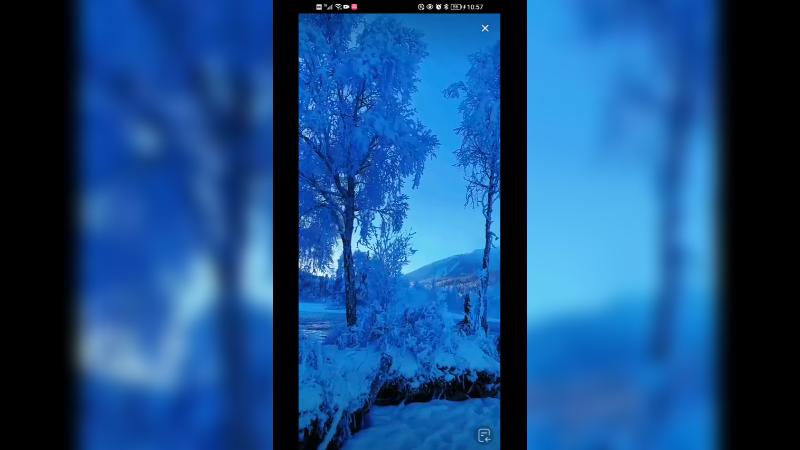 在新疆旅游看雪树银花，如梦如幻