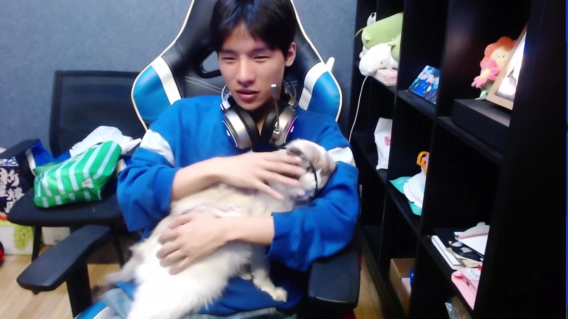【2023-11-28 18点场】eStarPro橘子：一个会玩吕布的猪宝