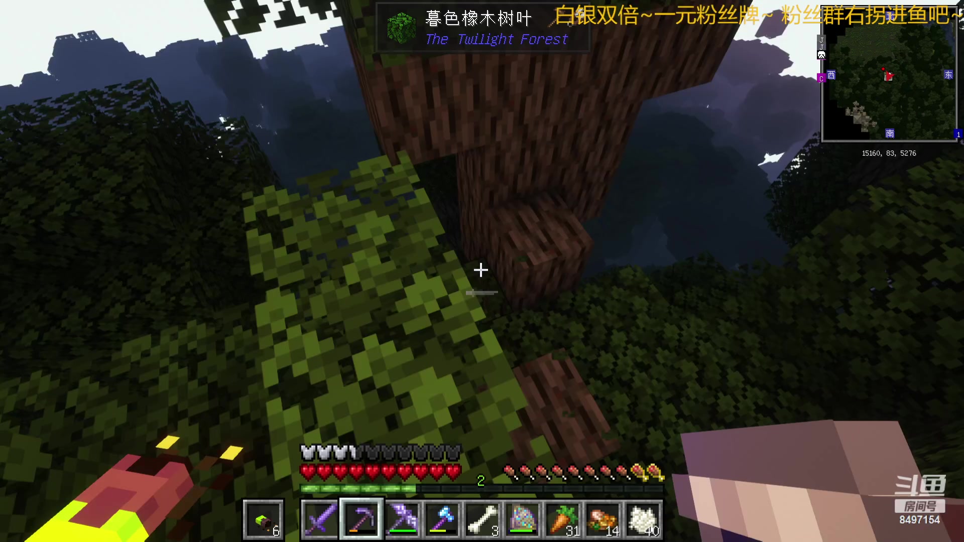 【2023-11-29 02点场】WE丶994：MC启动！白银双倍~~~寻找时光树。