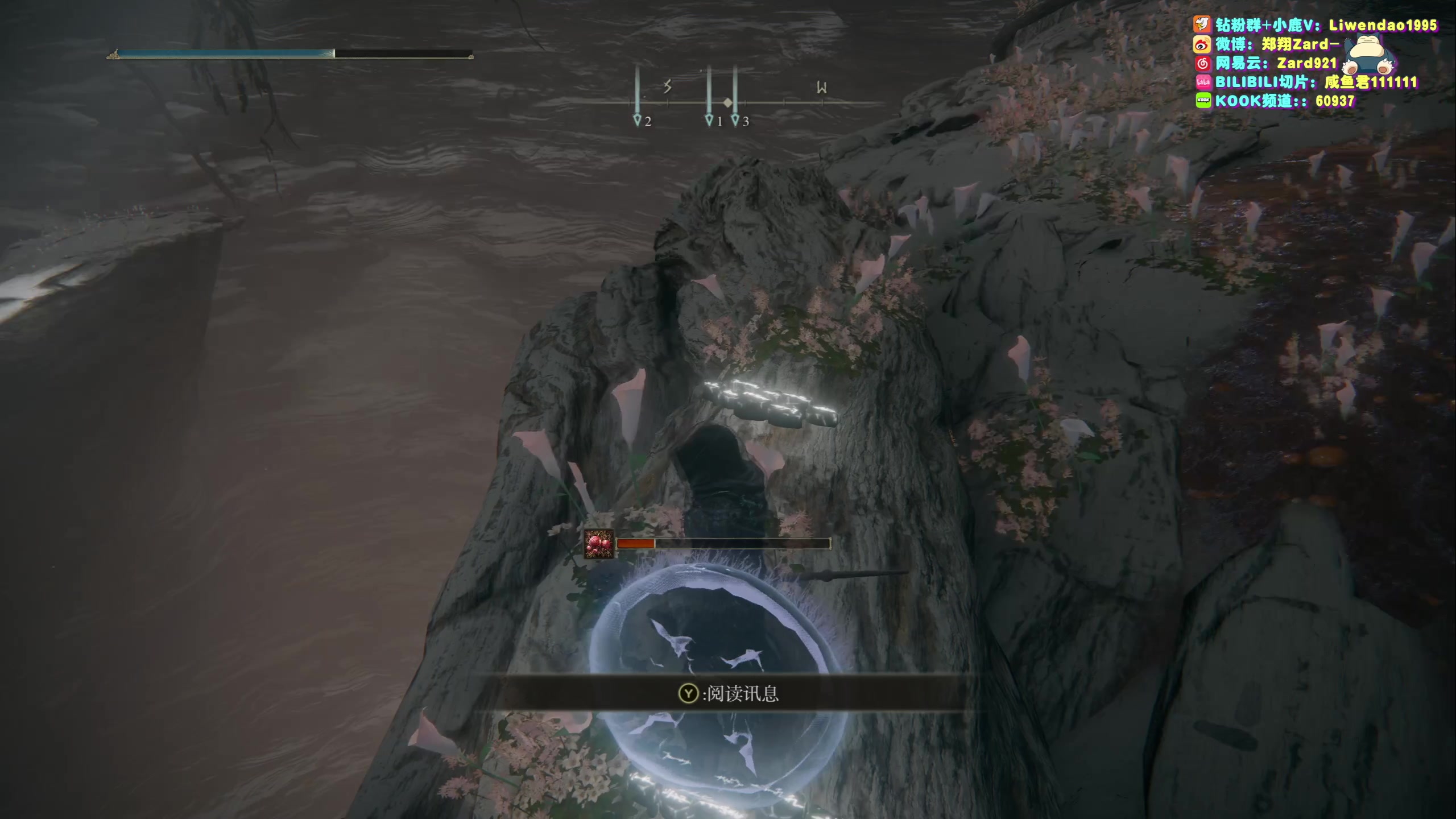 【2023-11-29 17点场】zard1991：Zard1991 chill dude