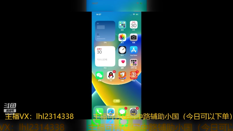 【2023-11-30 14点场】国服老狐狸：国服妲己：每天12点到8点教学