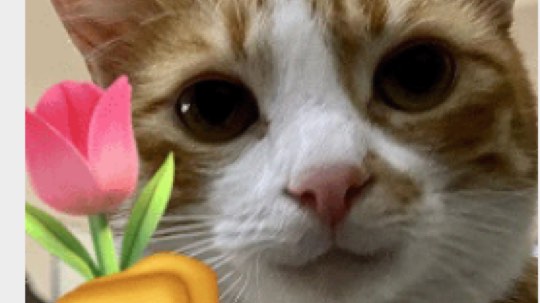 坐牢的一天