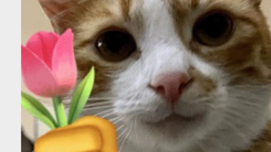 坐牢的一天2