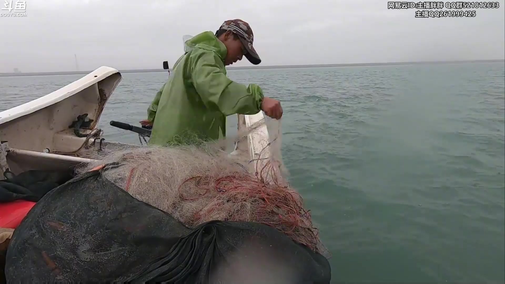 【2023-11-30 02点场】胖胖灬：胖胖OB：LNG.weiwei+微博小浩