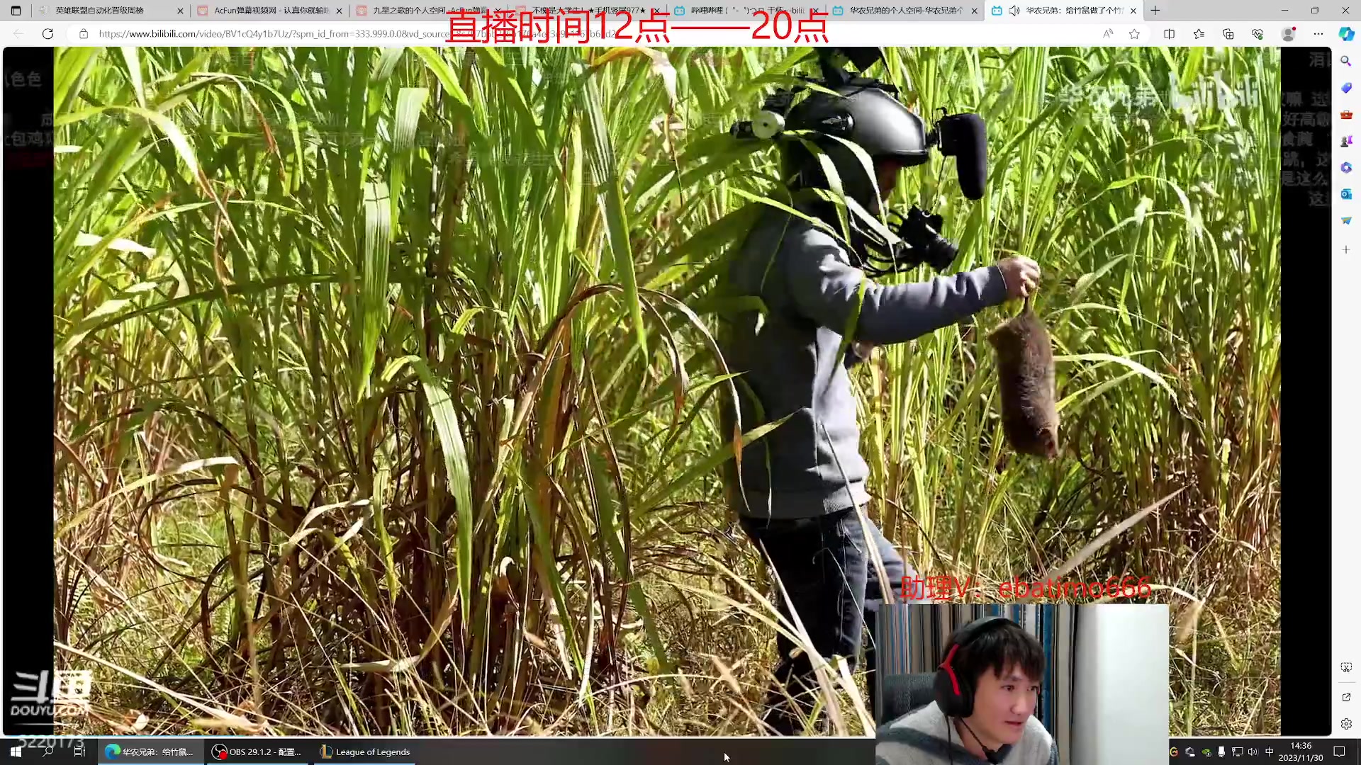 【2023-11-30 13点场】恶霸提莫：核爆流提莫，一个蘑菇1500伤！