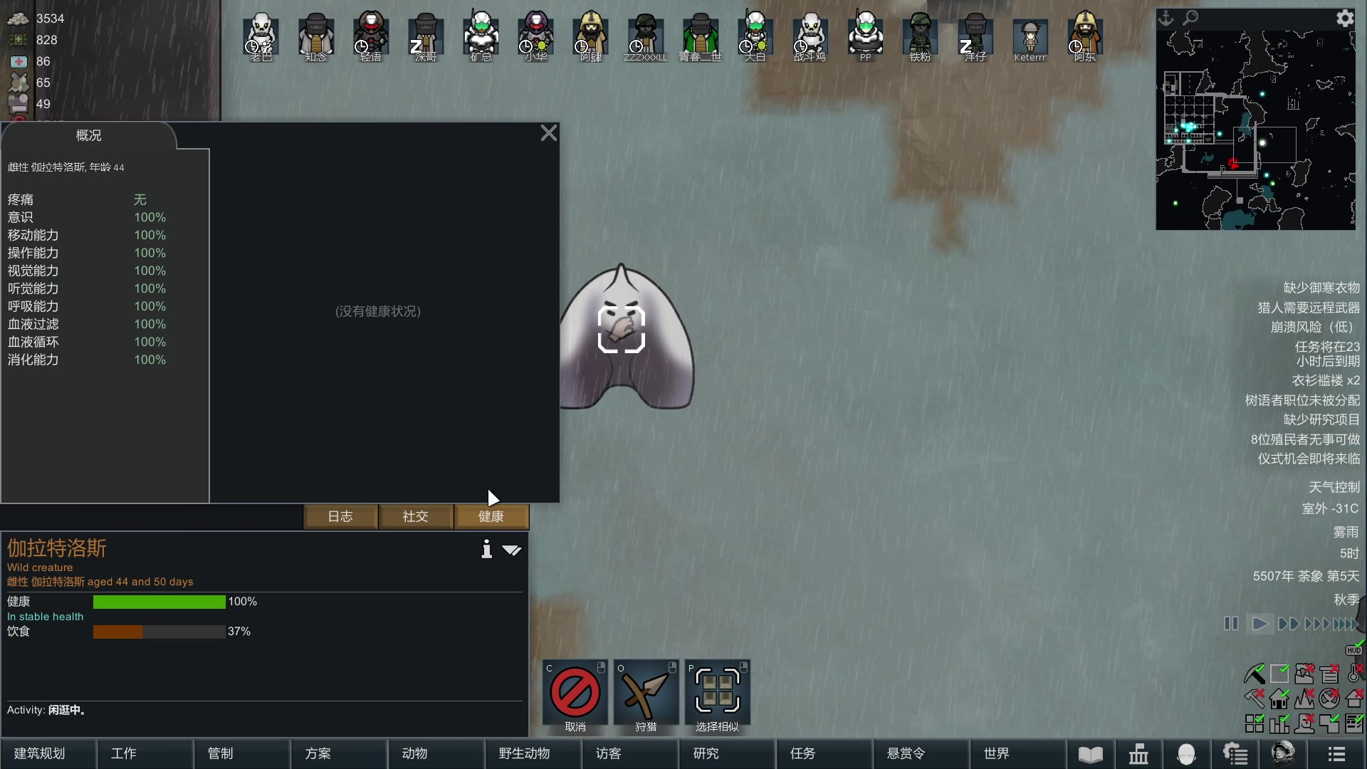 【2023-12-01 21点场】巴格拉斯：热爱生活，走进巴叔