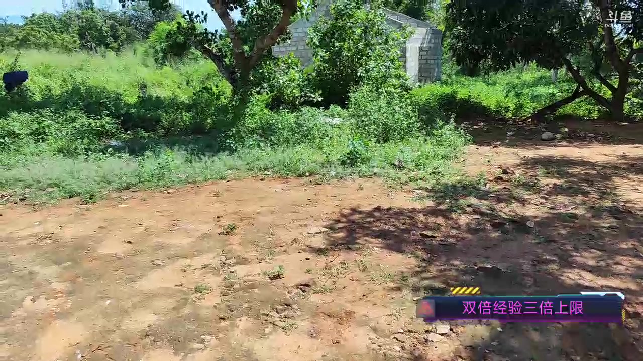 【2023-11-26 14点场】叶子户外：《纪实直播》斯里兰卡day18