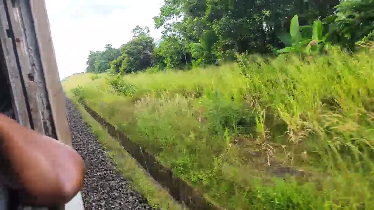 【2023-11-27 18点场】叶子户外：《纪实直播》斯里兰卡day18