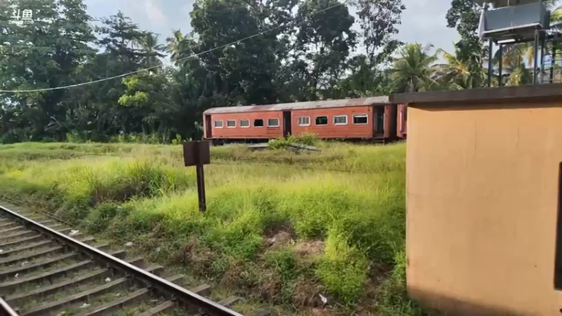 【2023-11-27 19点场】叶子户外：《纪实直播》斯里兰卡day18