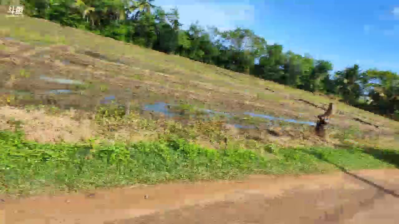 【2023-11-26 16点场】叶子户外：《纪实直播》斯里兰卡day18