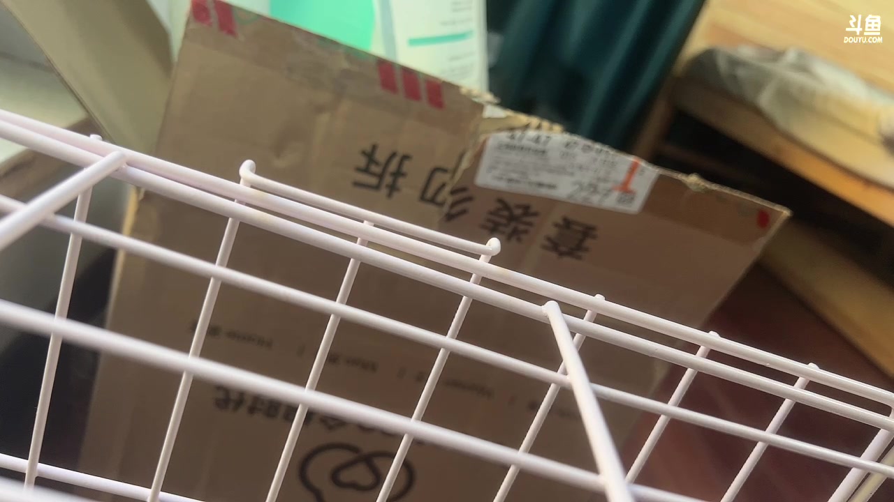 【2023-12-02 15点场】DYG丶小义：回来了回来了 88803