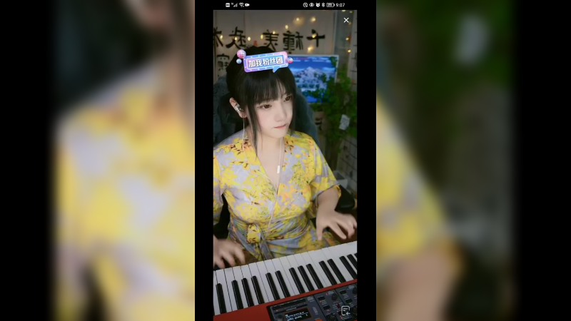 美女弹琴混弹表演