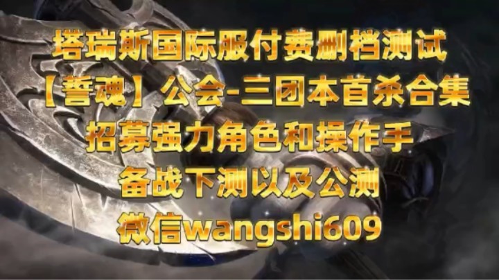【塔瑞斯】国际服付费删档测试三团本首杀大满贯