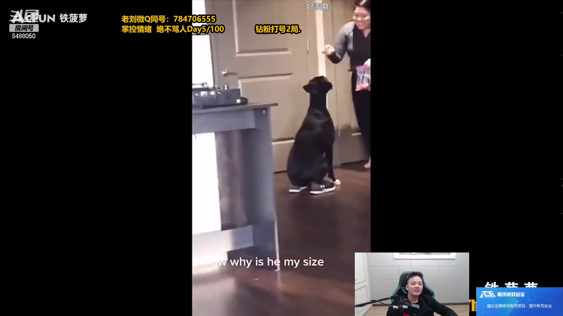 【2023-12-04 13点场】旋转的老刘诺手：新版破舰者诺手  极限1V9！