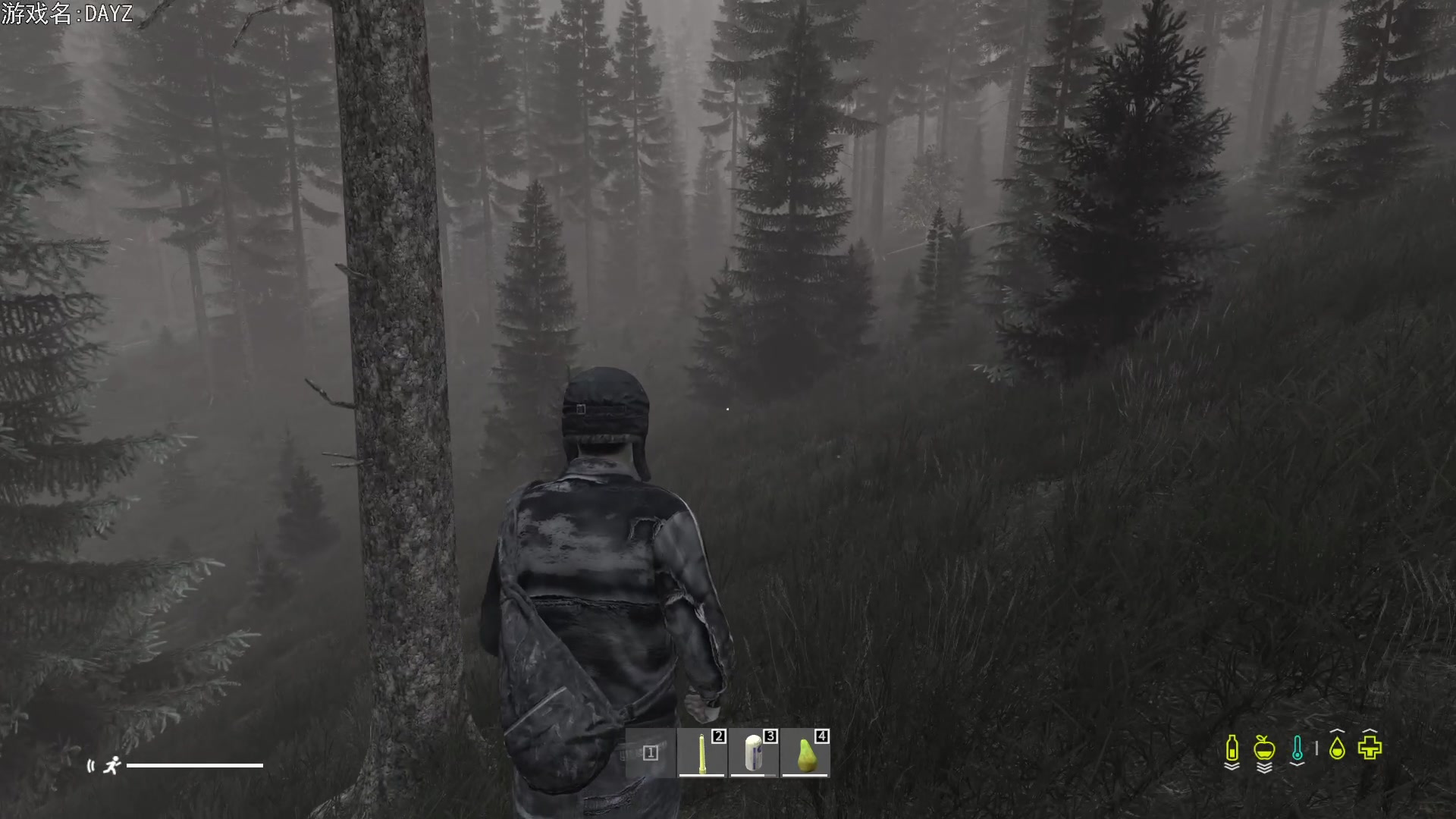 【2023-12-05 18点场】巴格拉斯：热爱生活，走进巴叔