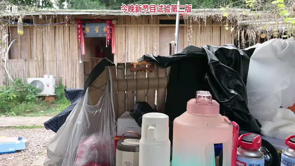 【2023-11-29 13点场】惠娜娜呀：【小奶团】985团播