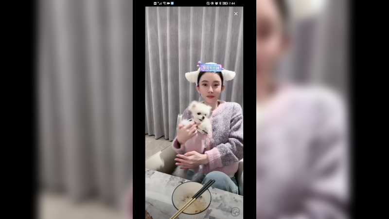 美女冯提莫抱着宠物狗博美聊天