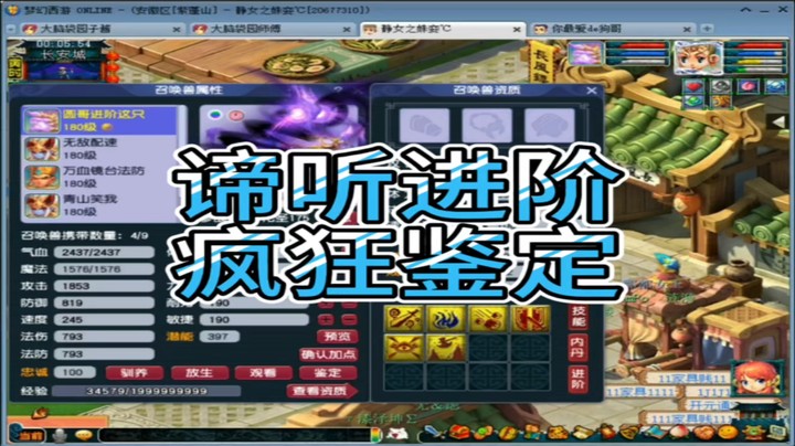 梦幻西游谛听进阶疯狂鉴定