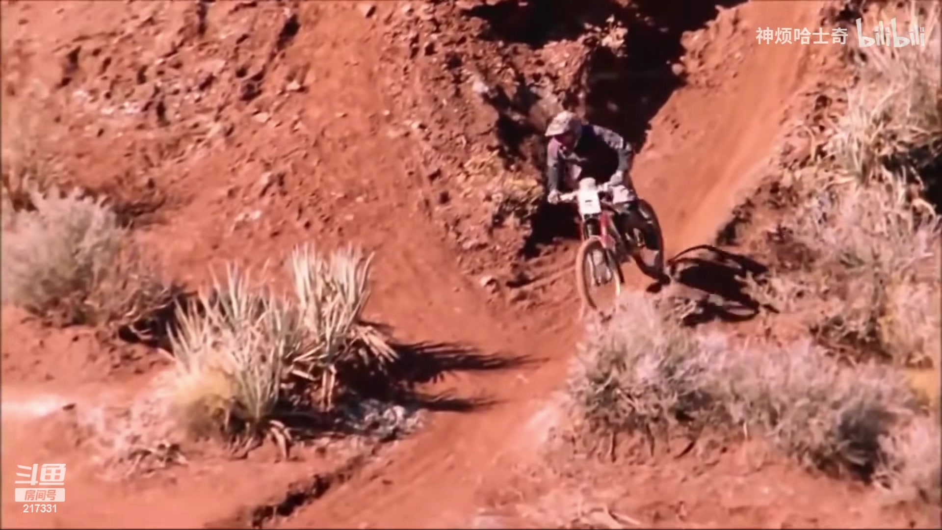 【2023-12-05 19点场】尐表哥：老表：玩着呢！