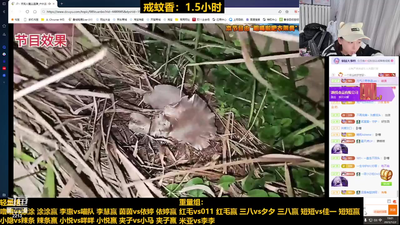 【2023-12-02 18点场】惠娜娜呀：【小奶团】985团播