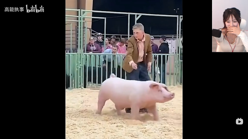 【热门游戏】pigff的精彩时刻 20231206 14点场