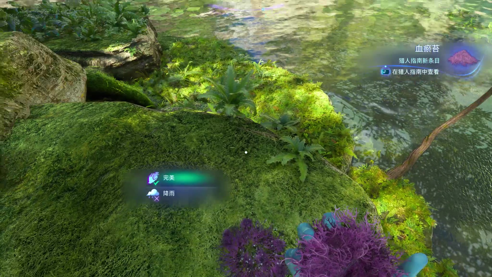 【2023-12-07 13点场】狐狸不太Sao：新游戏 阿凡达：潘多拉边境 ！