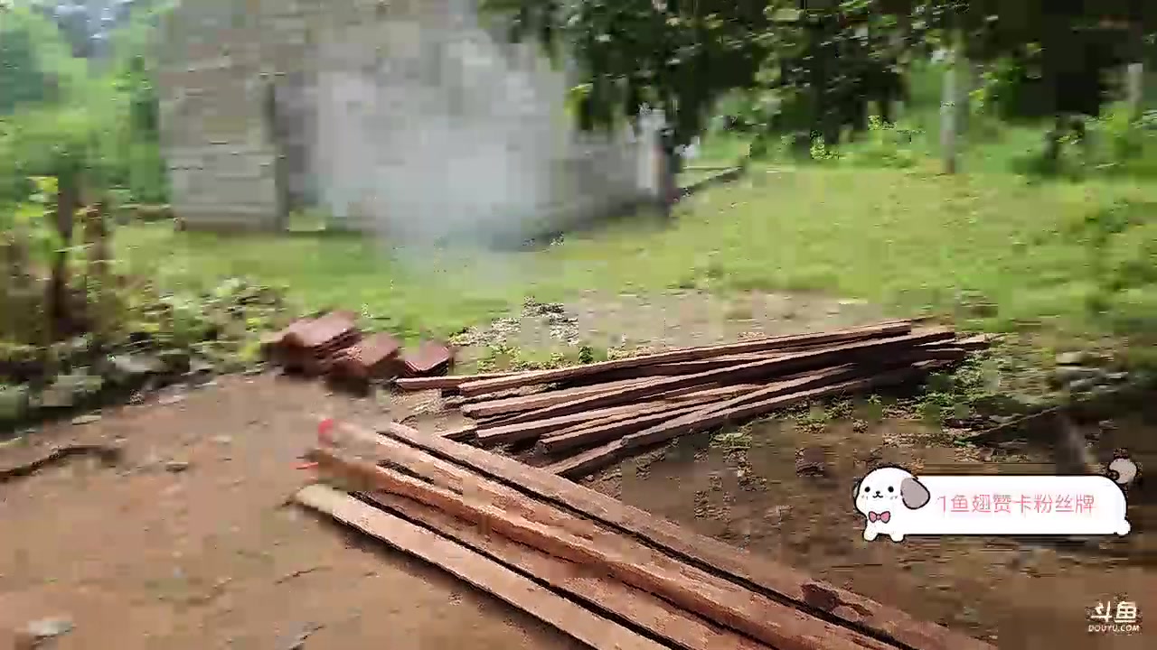 【2023-12-02 12点场】叶子户外：《纪实直播》斯里兰卡day22