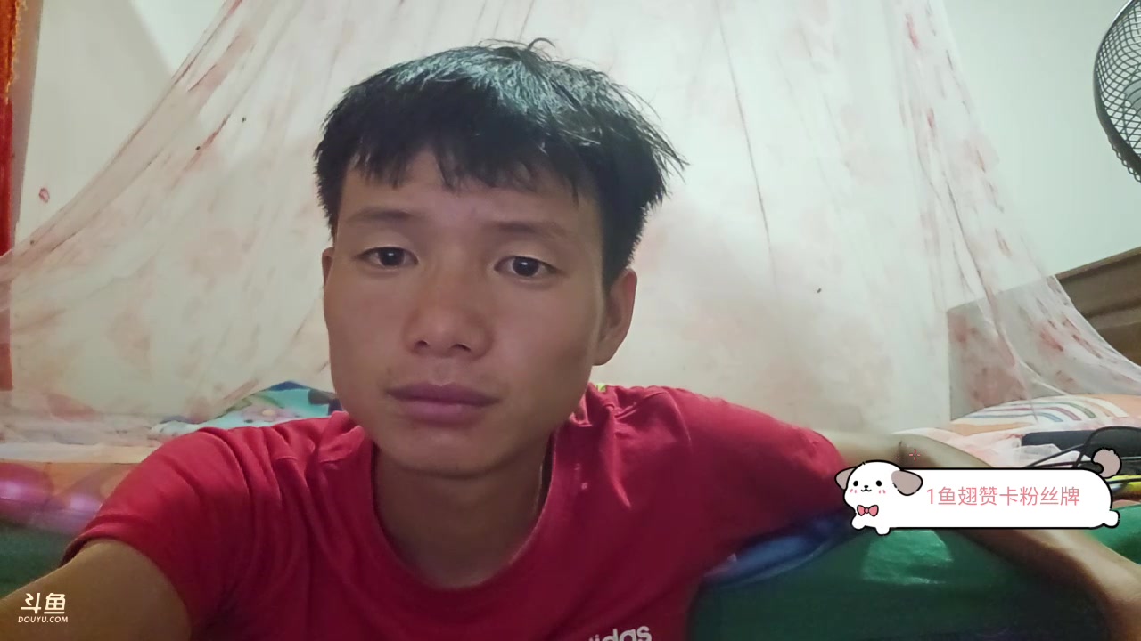 【2023-12-02 01点场】叶子户外：《纪实直播》斯里兰卡day22