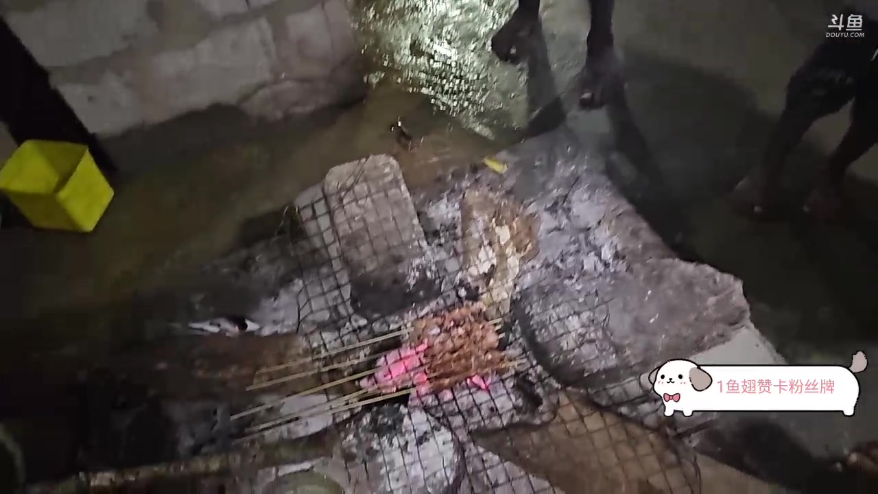 【2023-12-01 21点场】叶子户外：《纪实直播》斯里兰卡day22