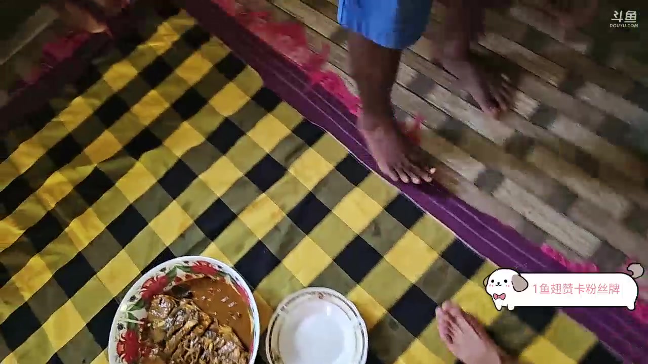 【2023-12-01 15点场】叶子户外：《纪实直播》斯里兰卡day22