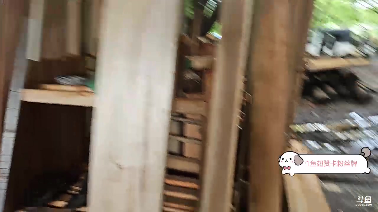 【2023-12-02 14点场】叶子户外：《纪实直播》斯里兰卡day23