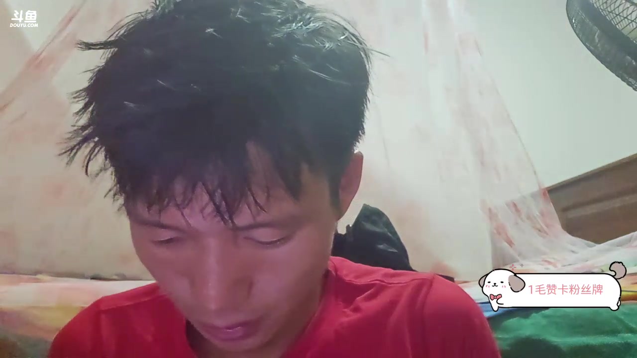 【2023-12-01 00点场】叶子户外：《纪实直播》斯里兰卡day24